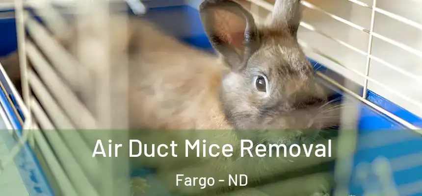 Air Duct Mice Removal Fargo - ND