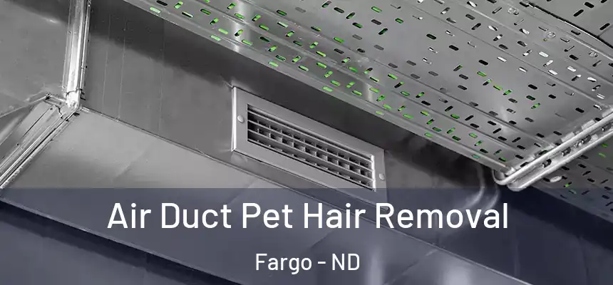 Air Duct Pet Hair Removal Fargo - ND