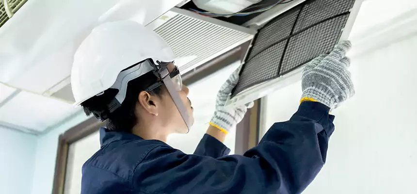 Our Mold & Mildew Removal from Air Ducts Services in Fargo, ND