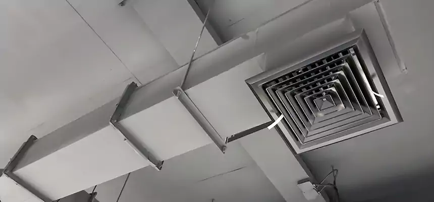 Our Rodent Droppings In Vents Services in Fargo, ND