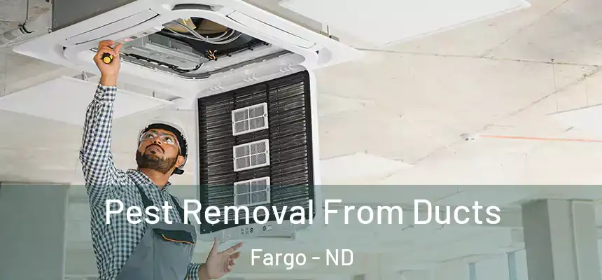 Pest Removal From Ducts Fargo - ND