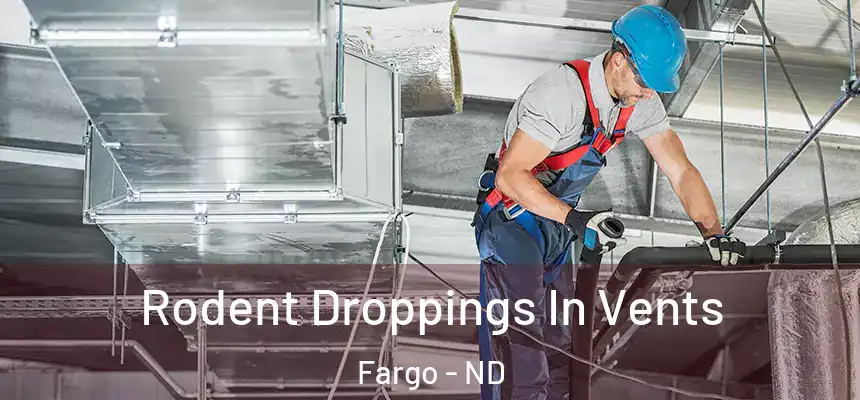 Rodent Droppings In Vents Fargo - ND