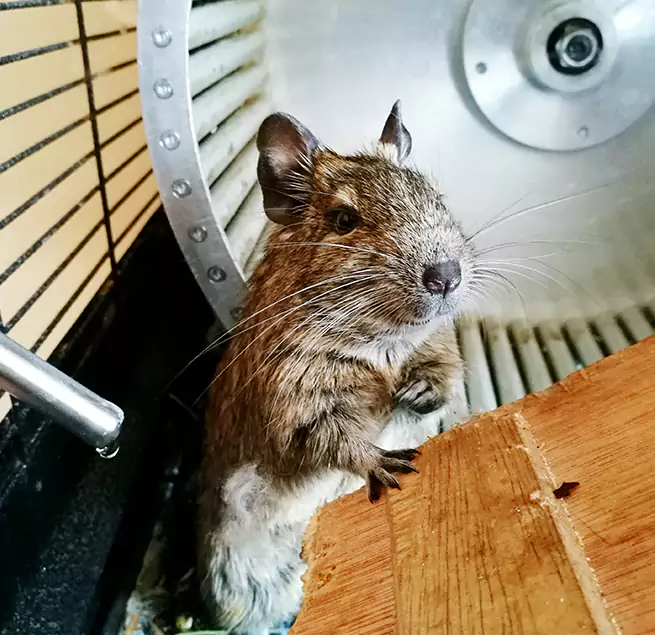 Why Homeowners & Businesses Trust Us Fargo, ND?